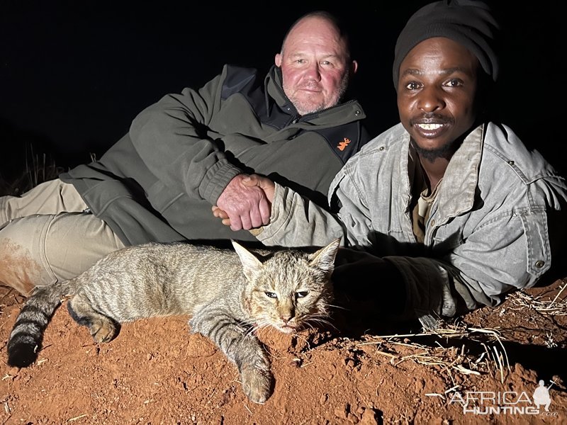 African Wildcat Hunt Eastern Cape South Africa