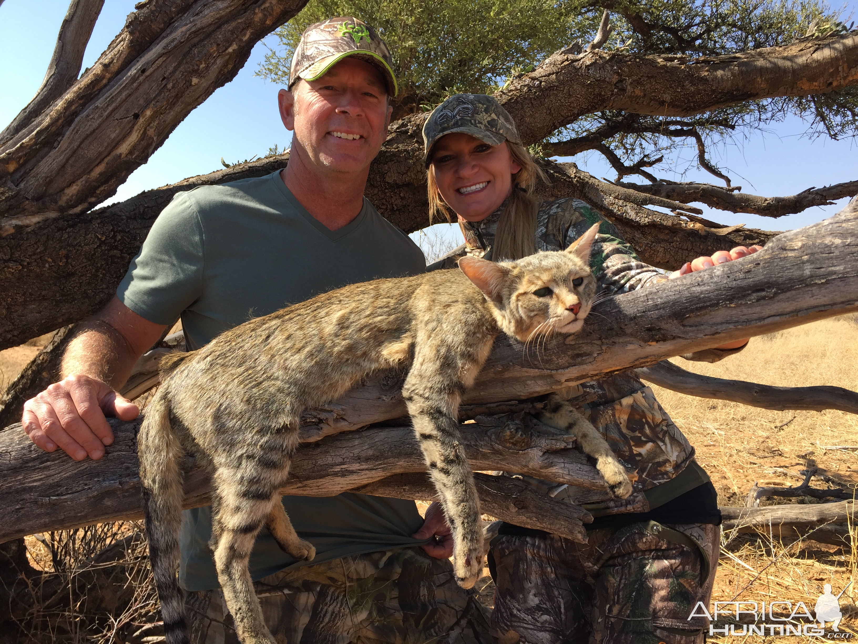 African Wildcat Hunt in South Africa