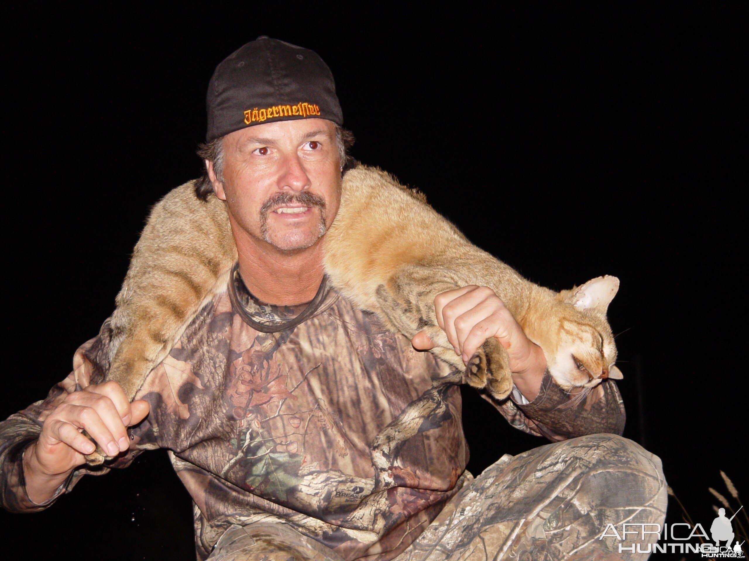 African Wildcat with Limcroma Safaris May 2011