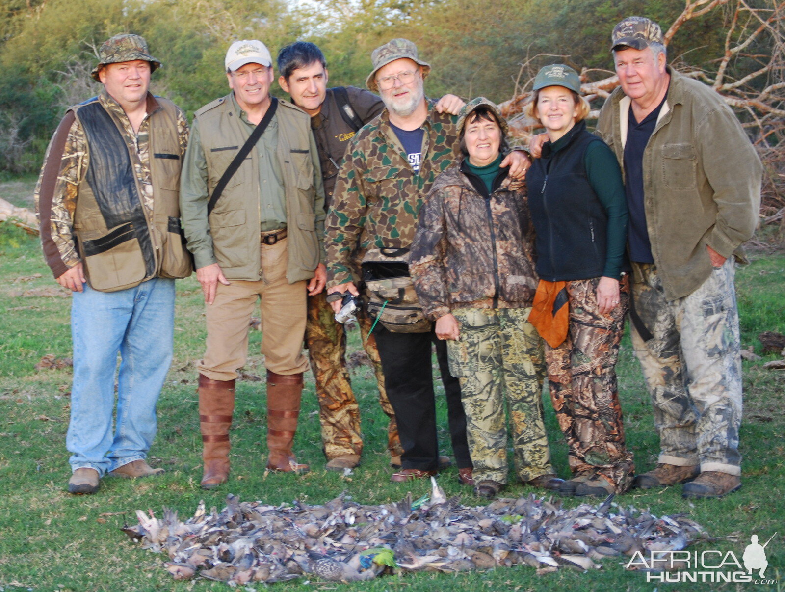 Afternoon of doves in Argentina