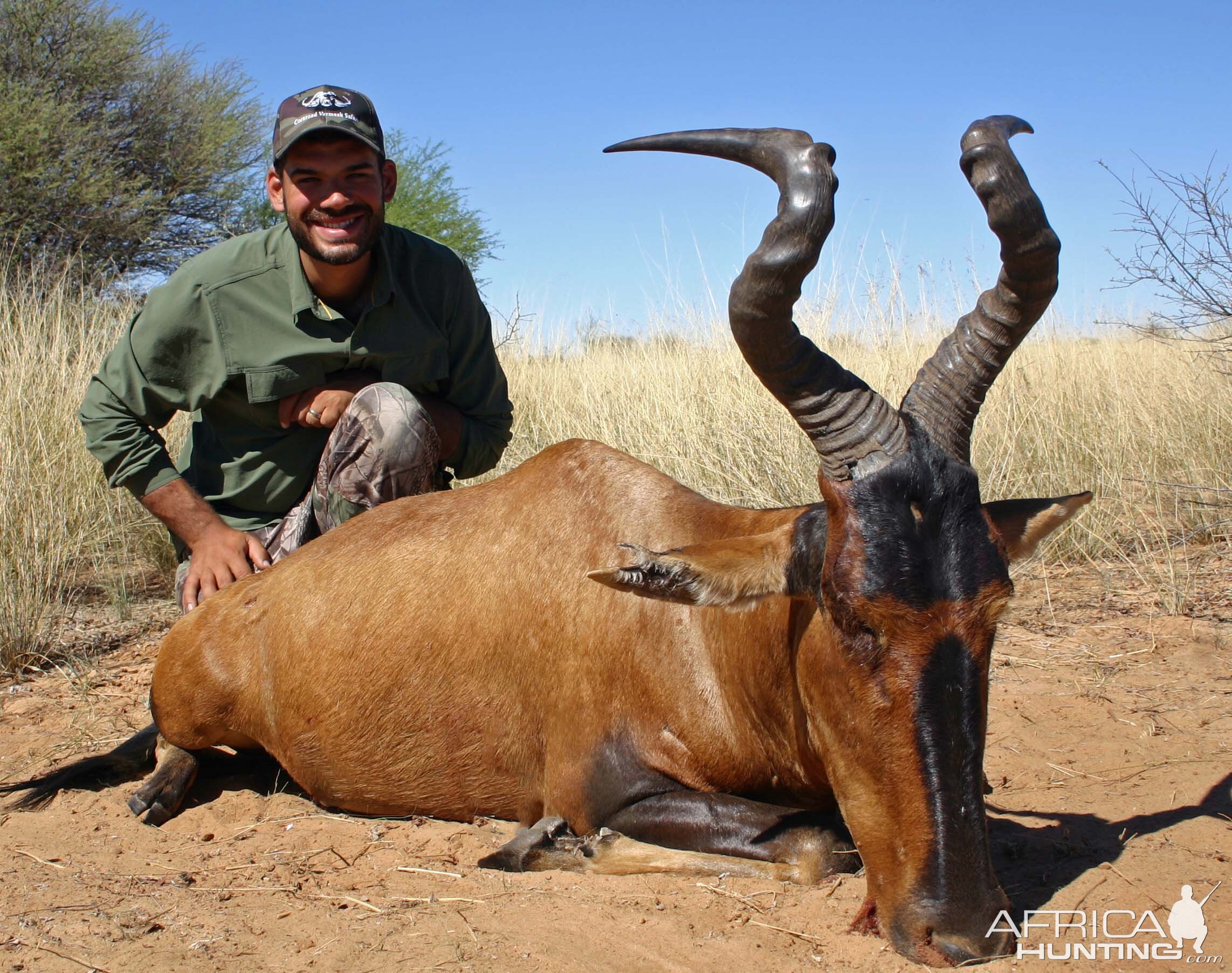 AH member with wide bull Hartebeest