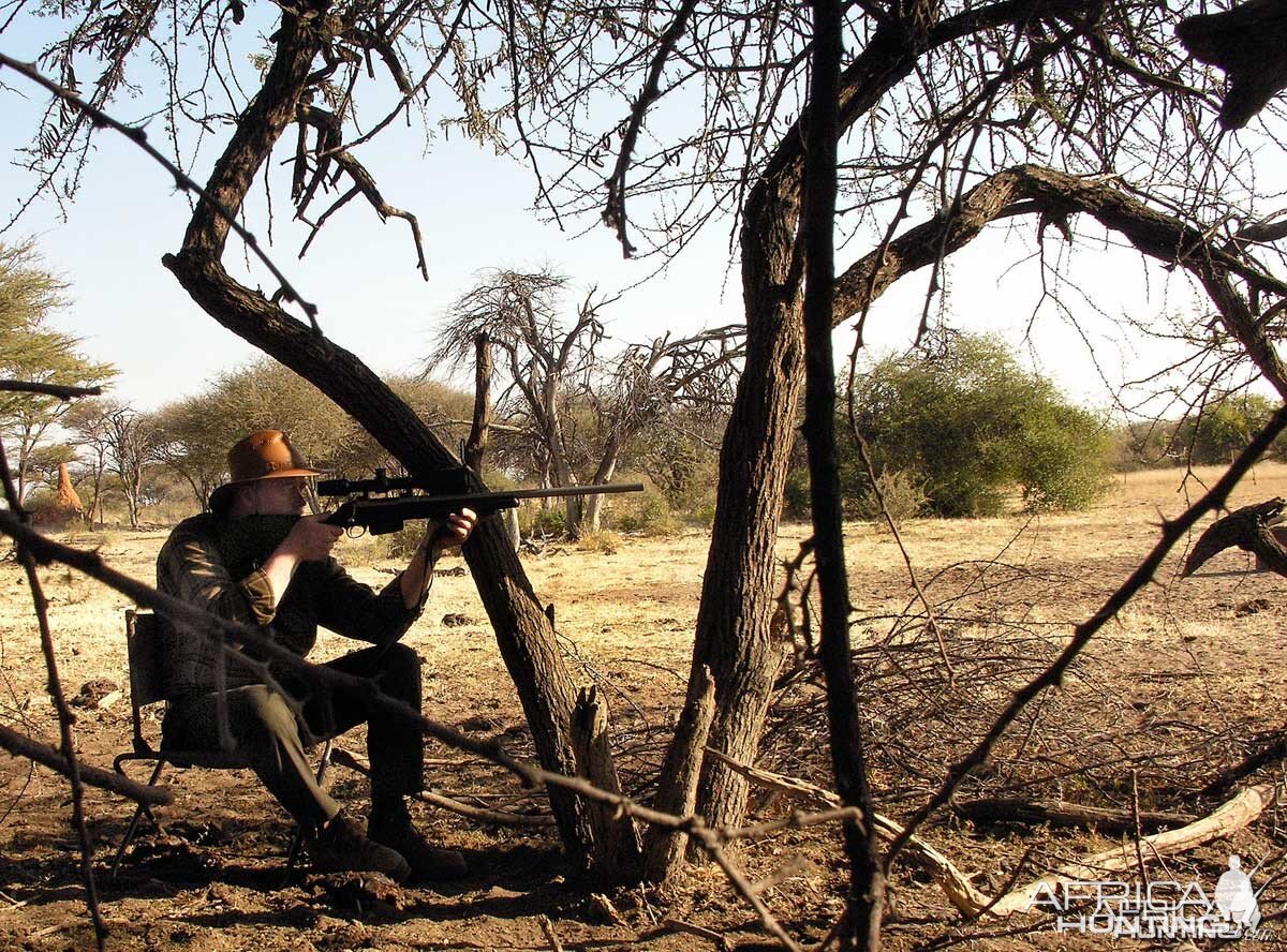 Aiming at a Warthog, Namibia