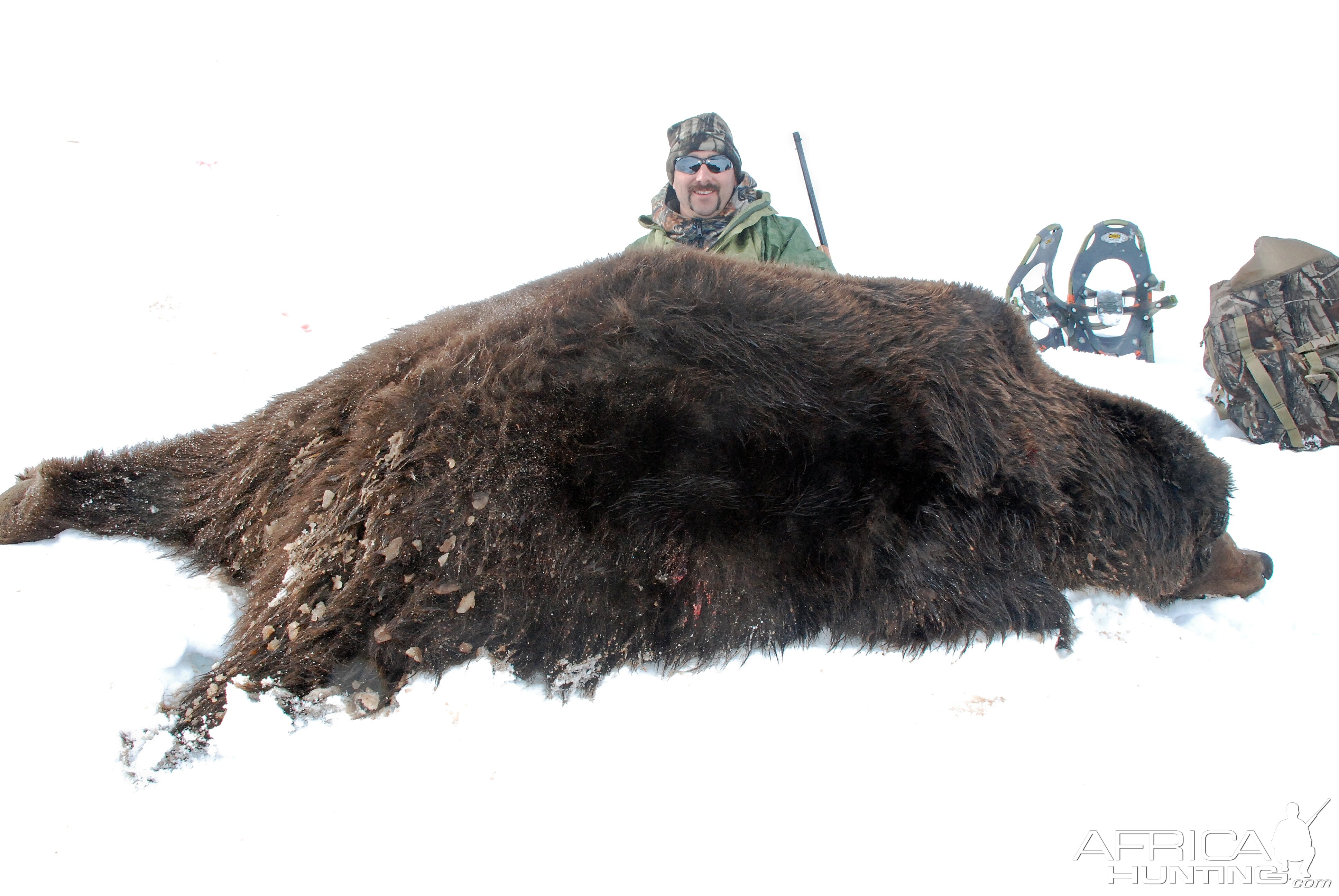 Alaska Brown Bear Hunt