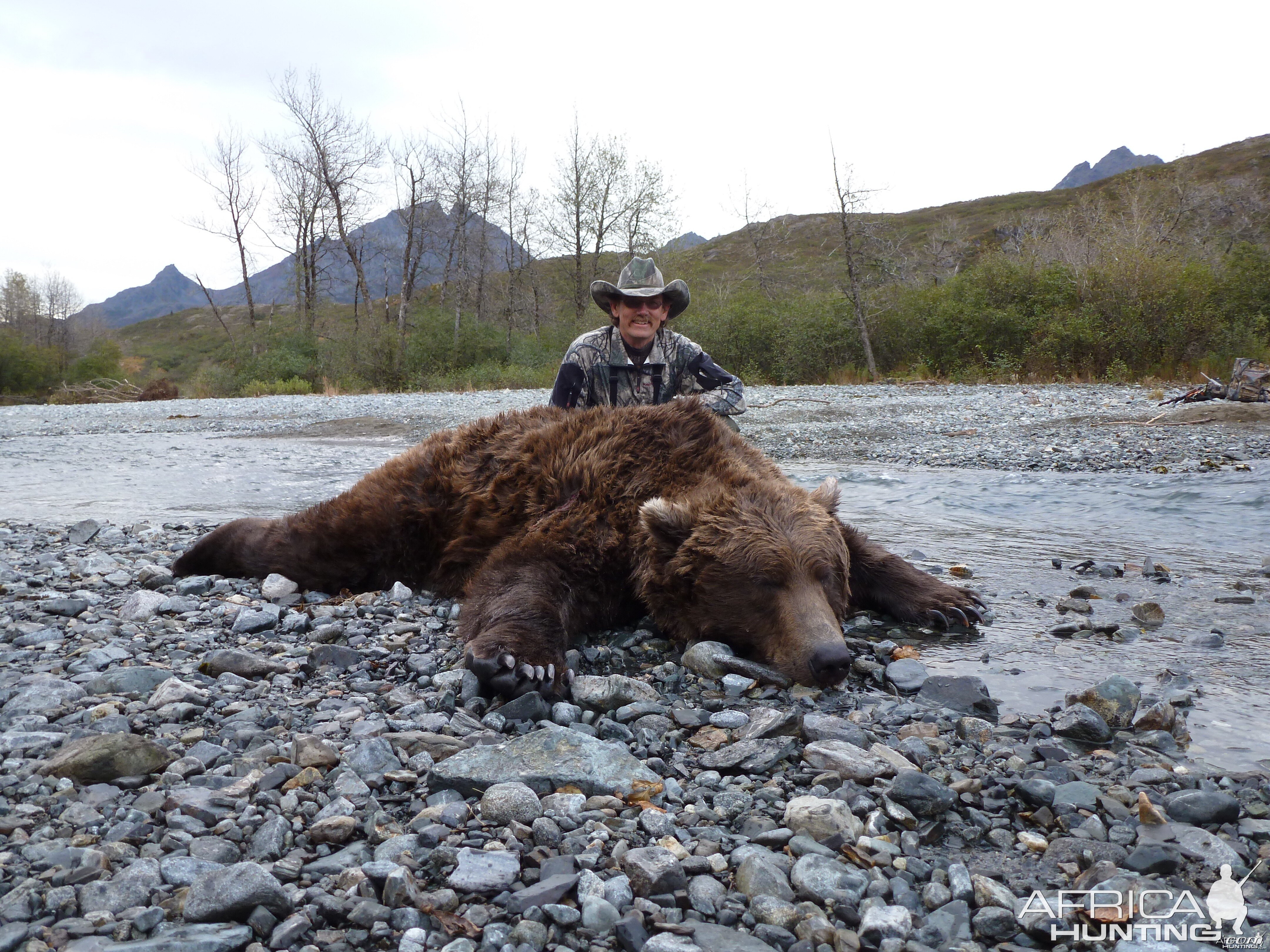 Alaska Brown Bear