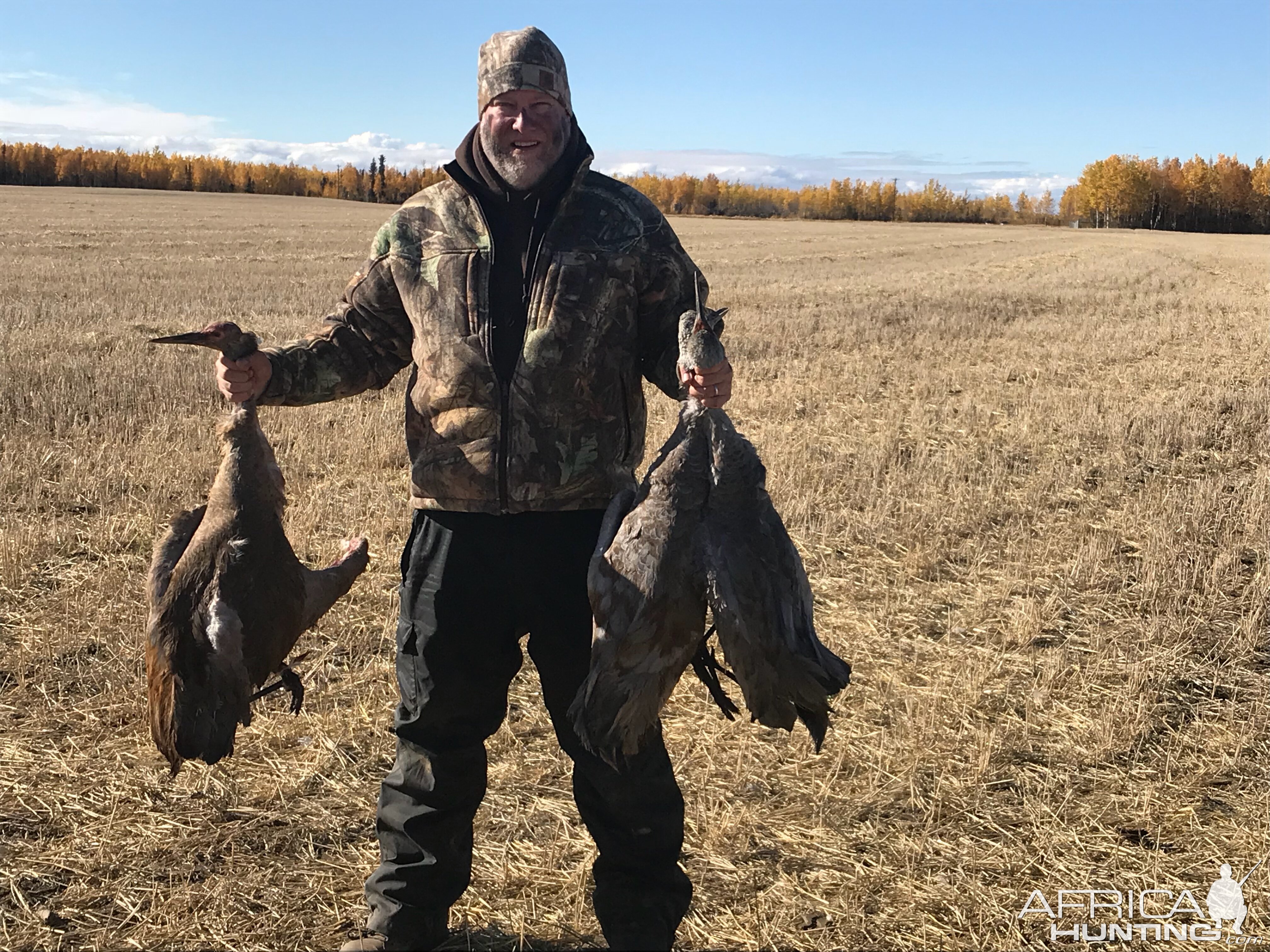 Alaska Hunting Sandhill Crane