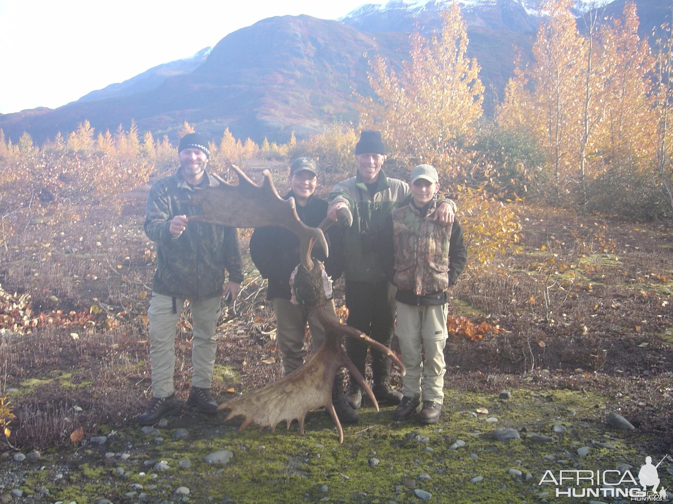 Alaska Moose