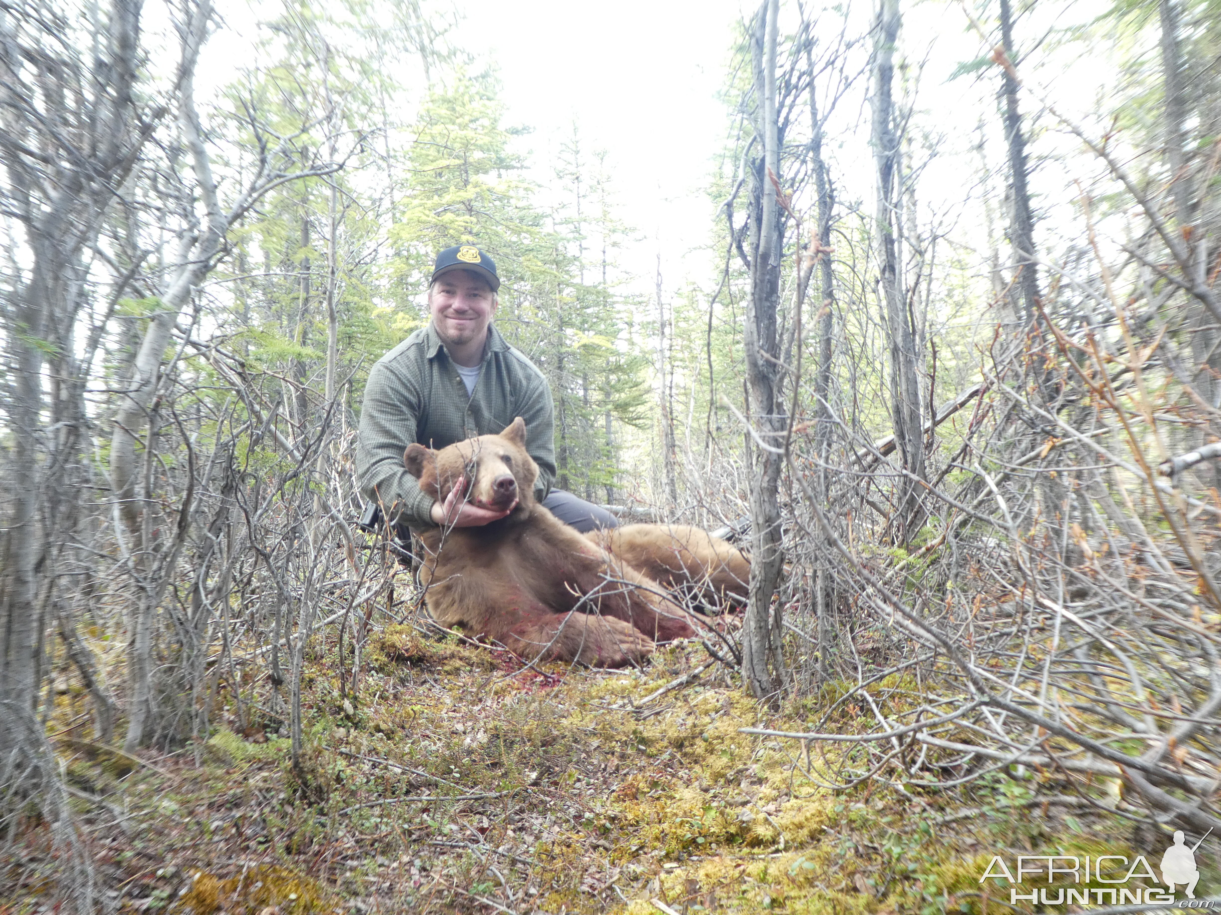 Alaska USA Hunt Grizzly Bear