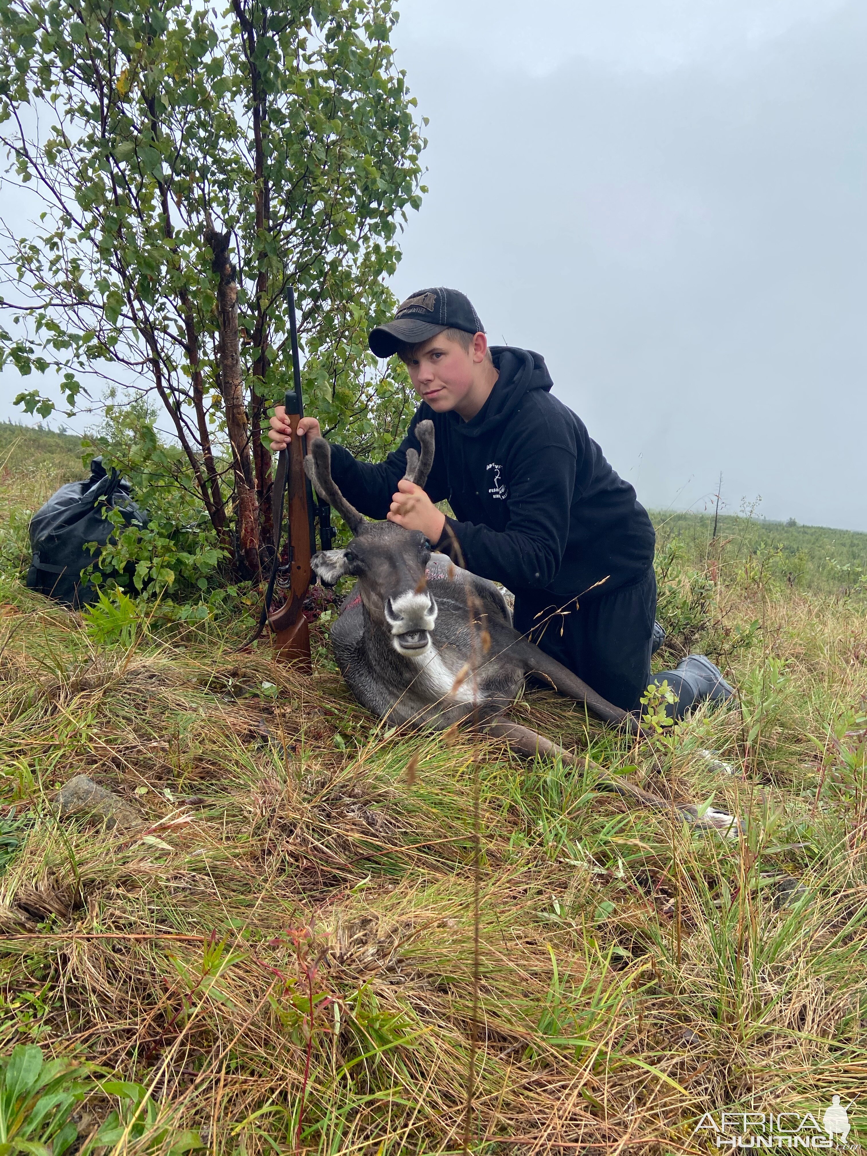 Alaska USA Hunting Caribou