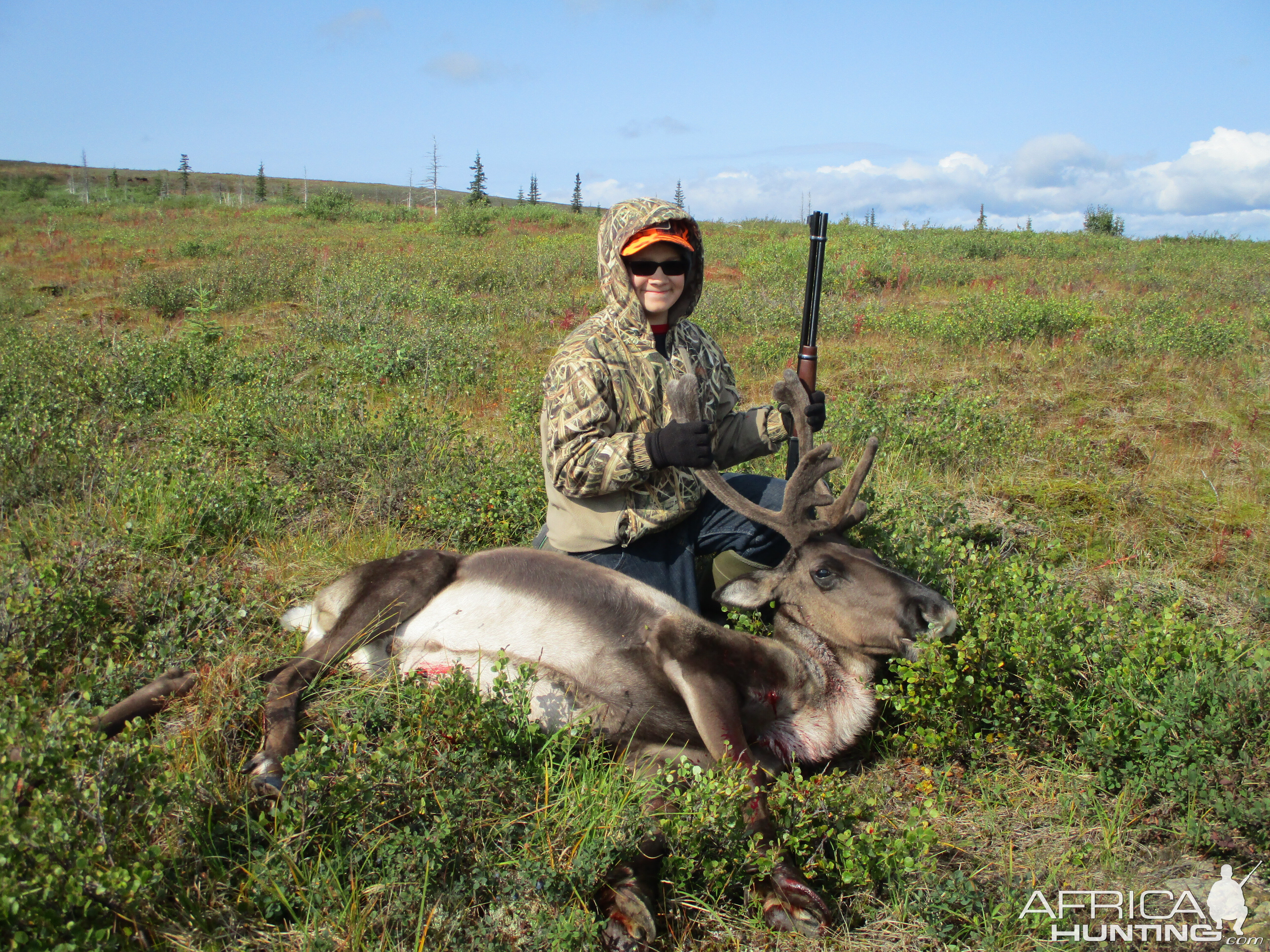 Alaska USA Hunting Caribou