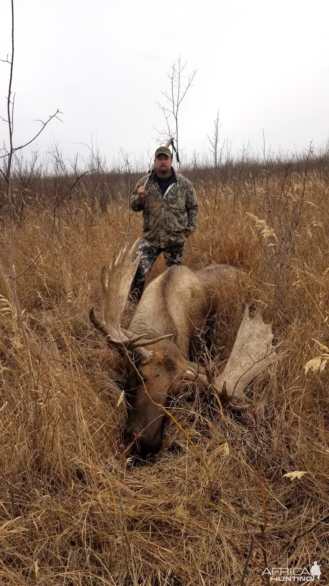 Alaskan Moose Hunt