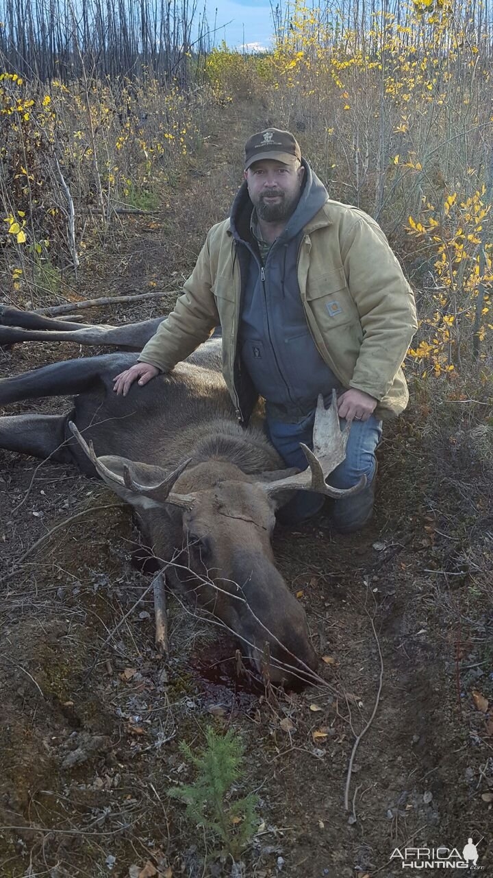 Alaskan Moose Hunt