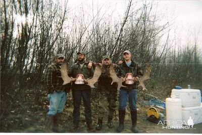 Alaskan Moose Hunt