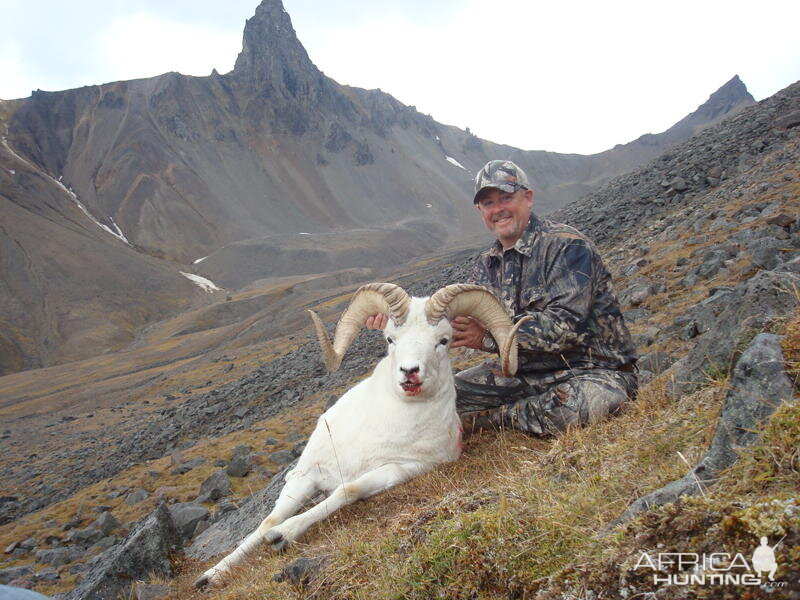 Alaskan Sheep Hunt