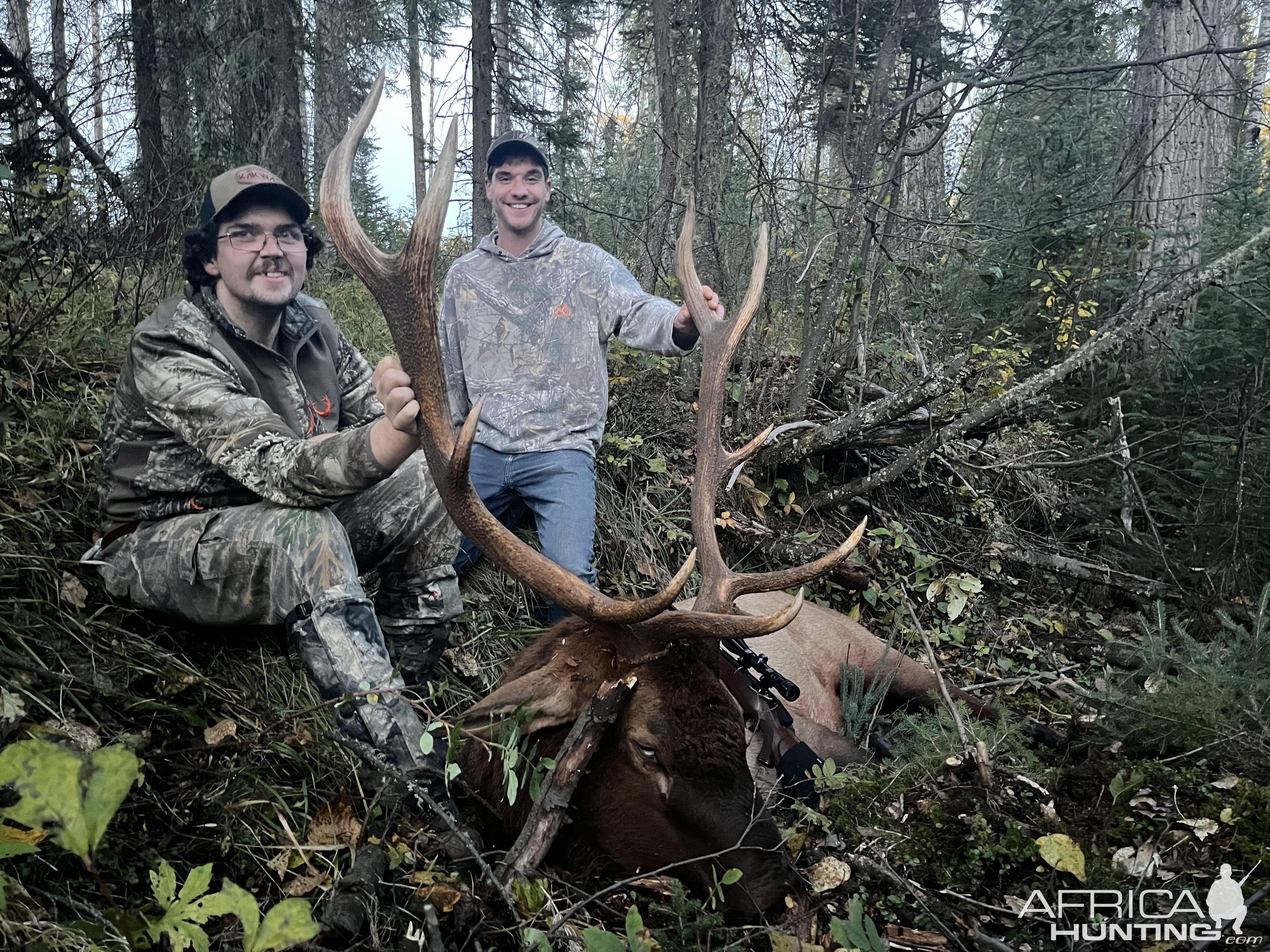 Alberta Elk 2023