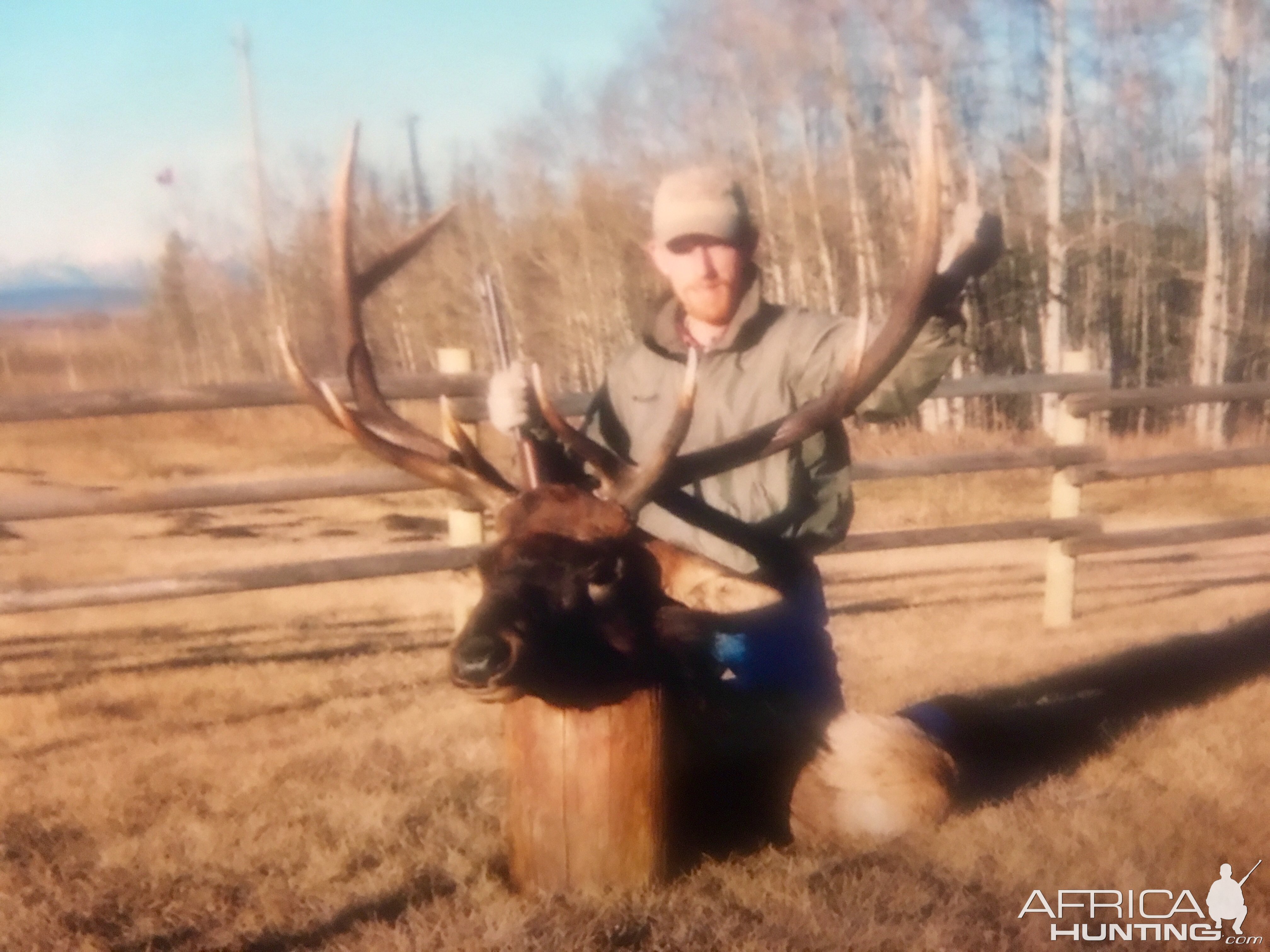 Alberta Elk Hunting