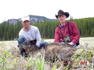 Alberta Wolf Hunting