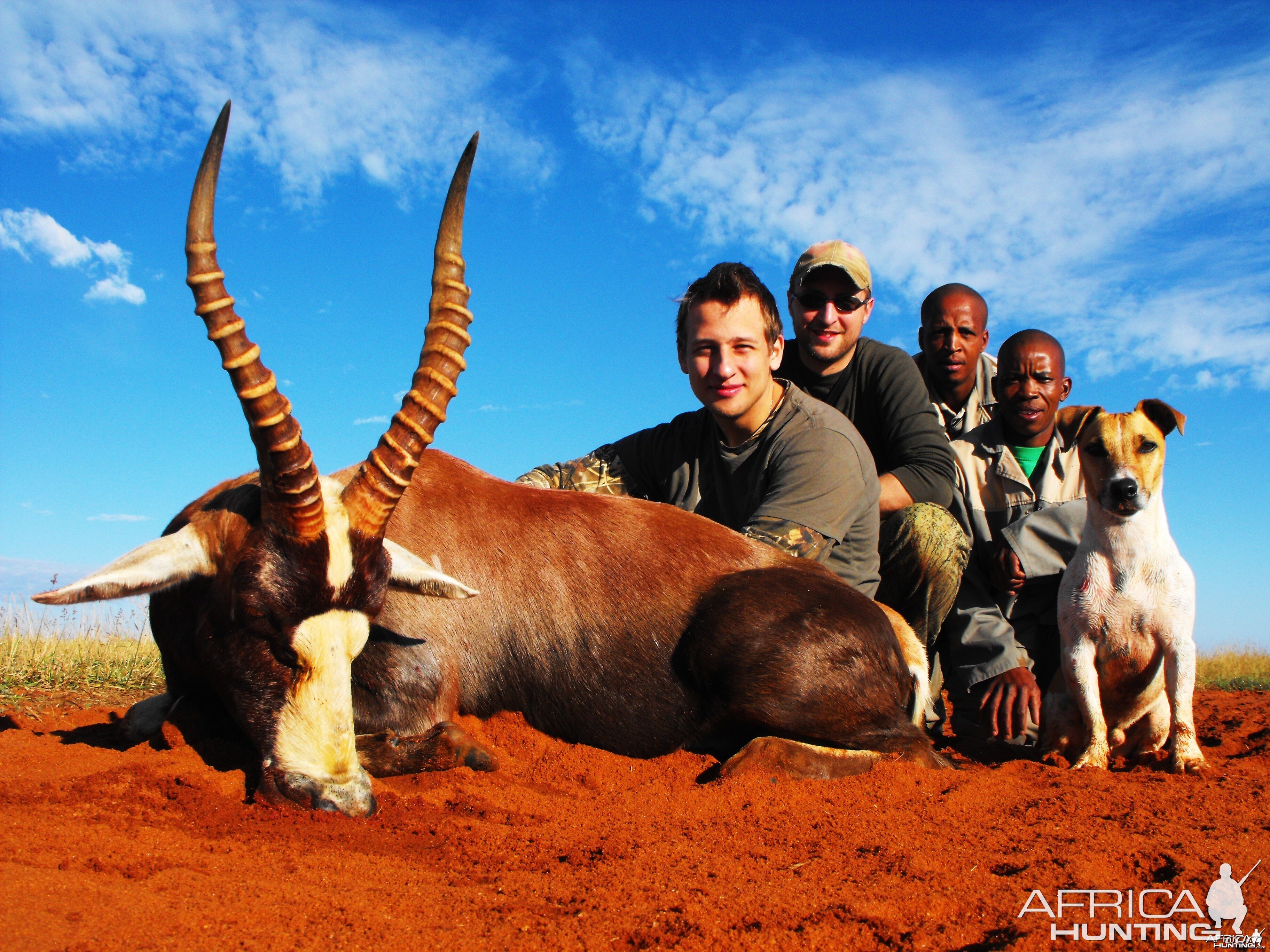 Alexei, his Blesbok and most of the gang.