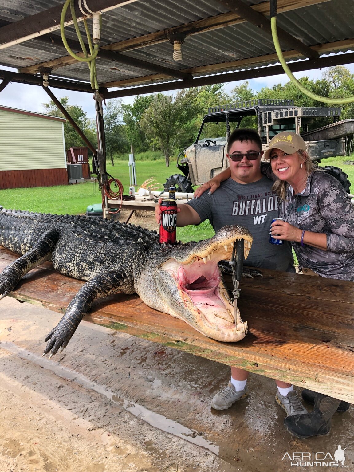 Alligator Hunt Little Texas