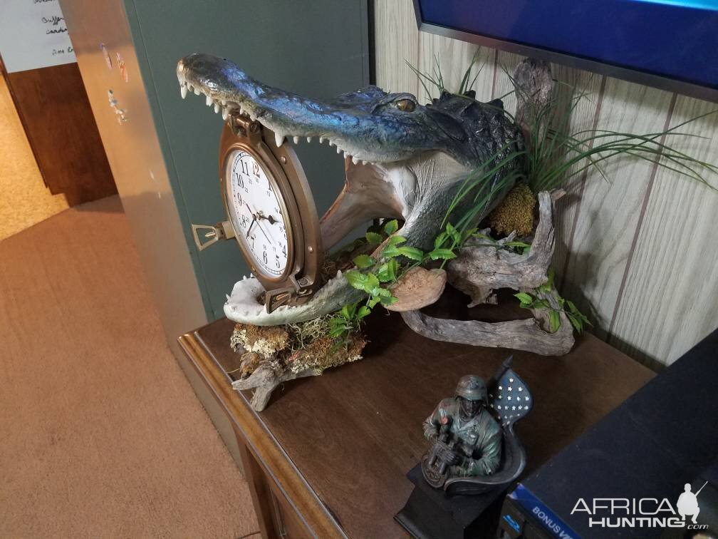 Alligator Taxidermy with clock