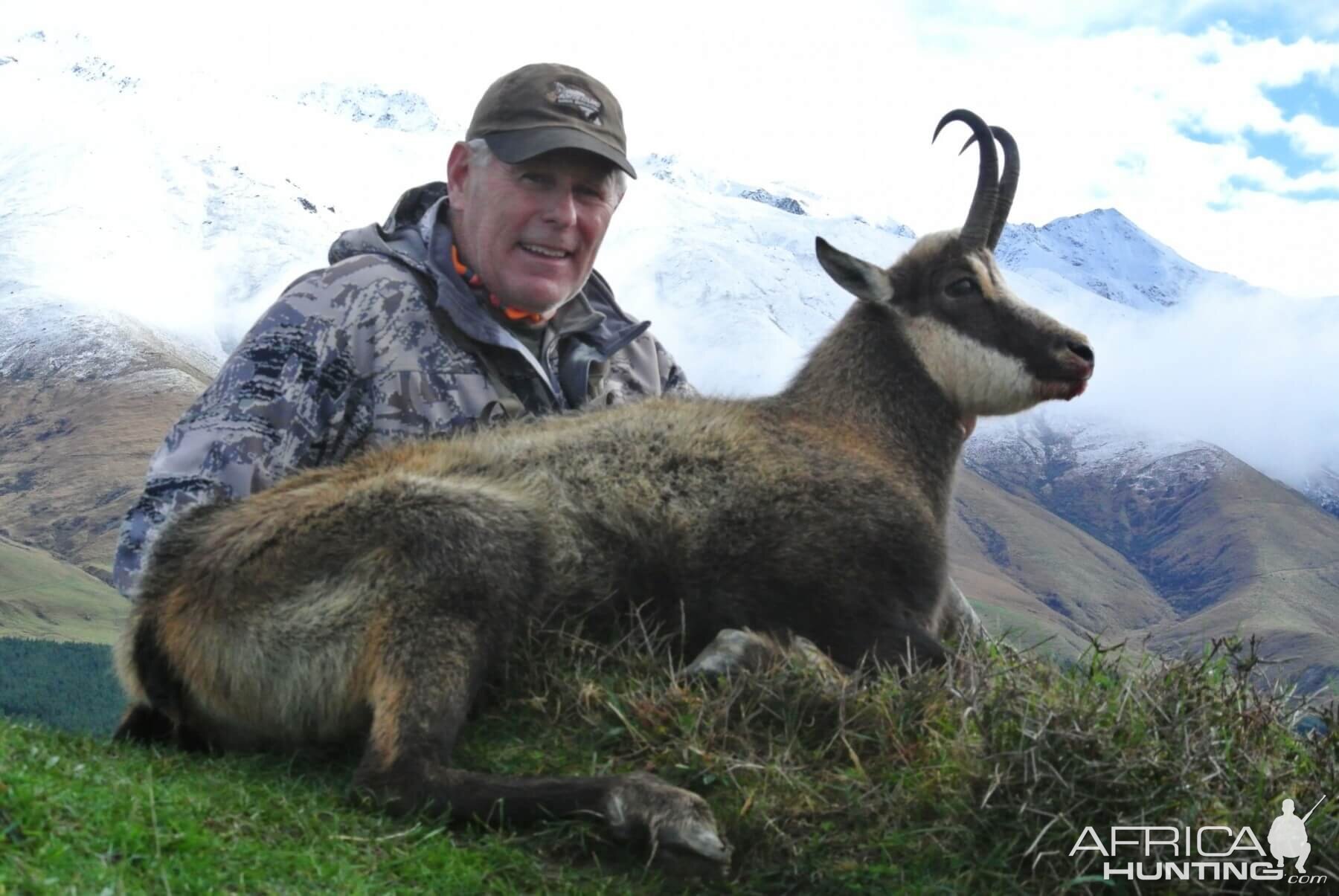 Alpine Chamois Hunting New Zealand