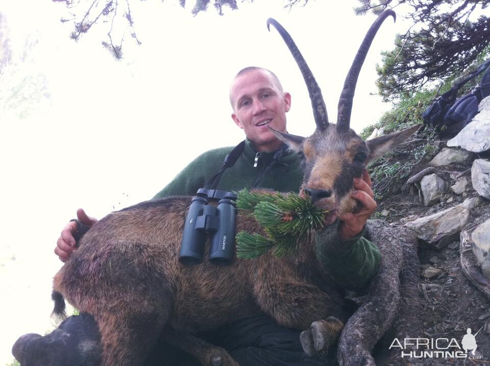 Alpine chamois hunting with Ovini Expéditions