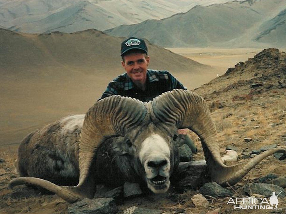 Altai Argali Hunting Mongolia