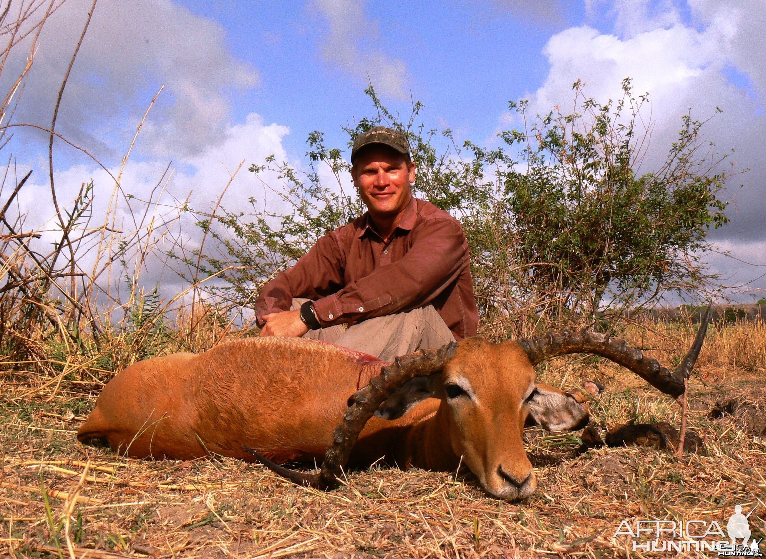 Amazing impala from Tanzania!!