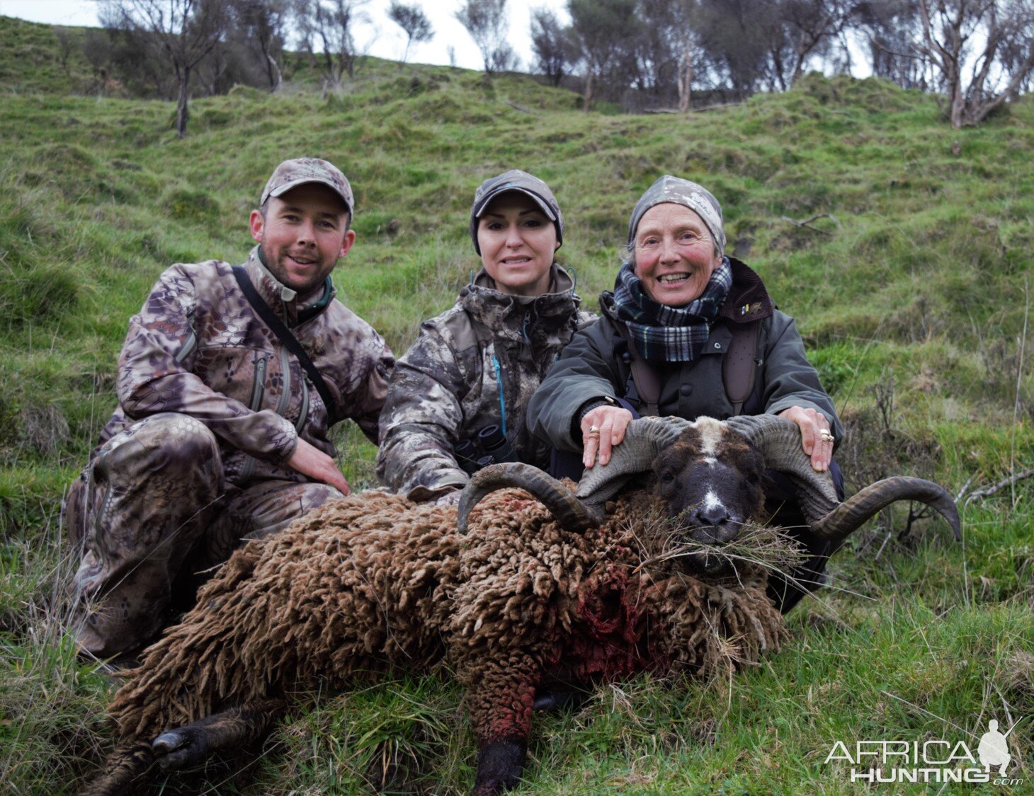 Ample Hunting, NZ