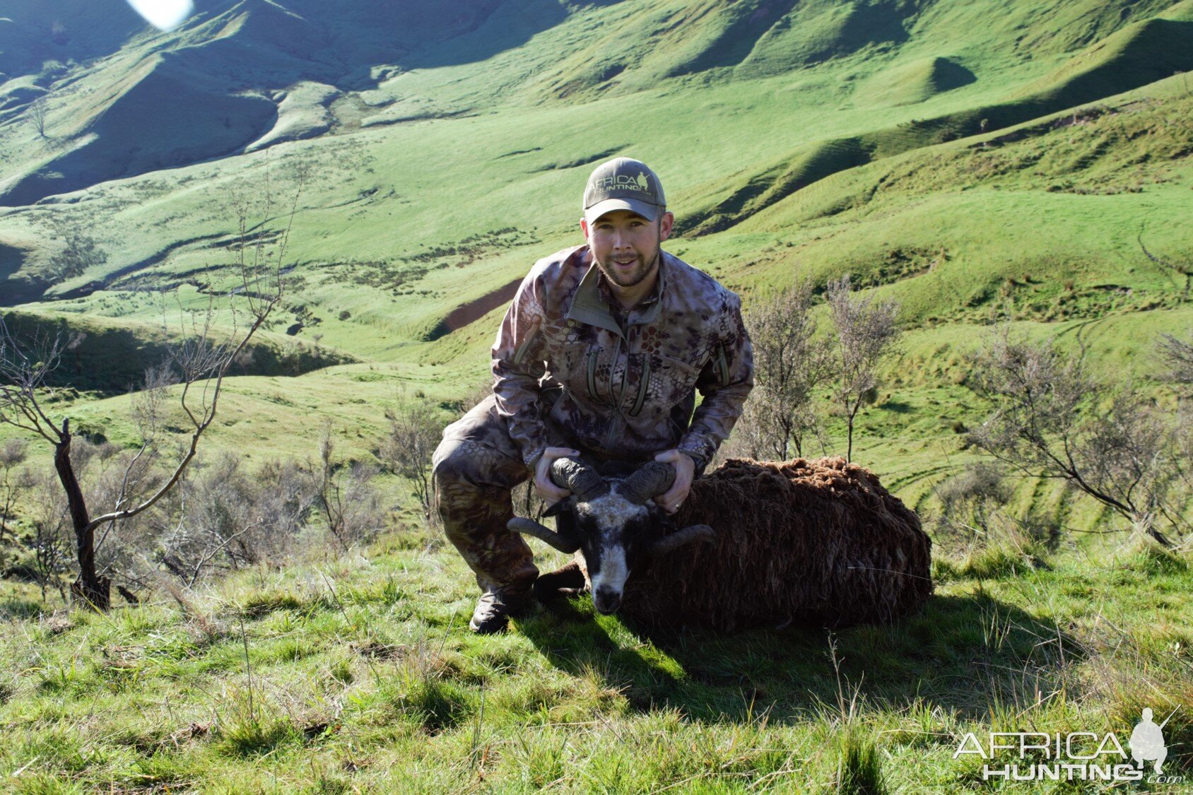 Ample Hunting, NZ