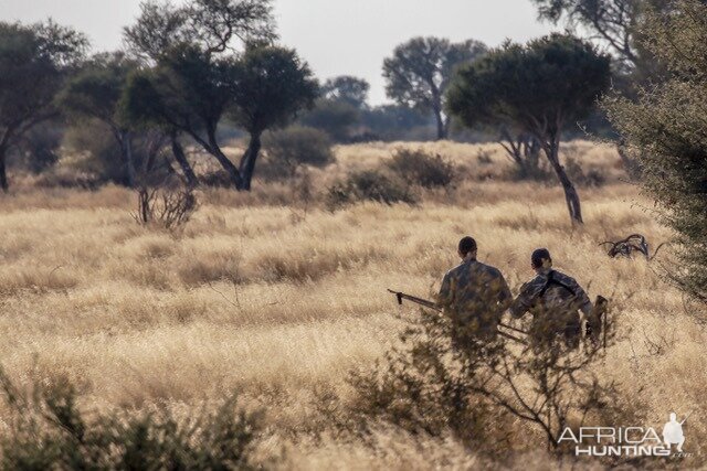 An African Experience