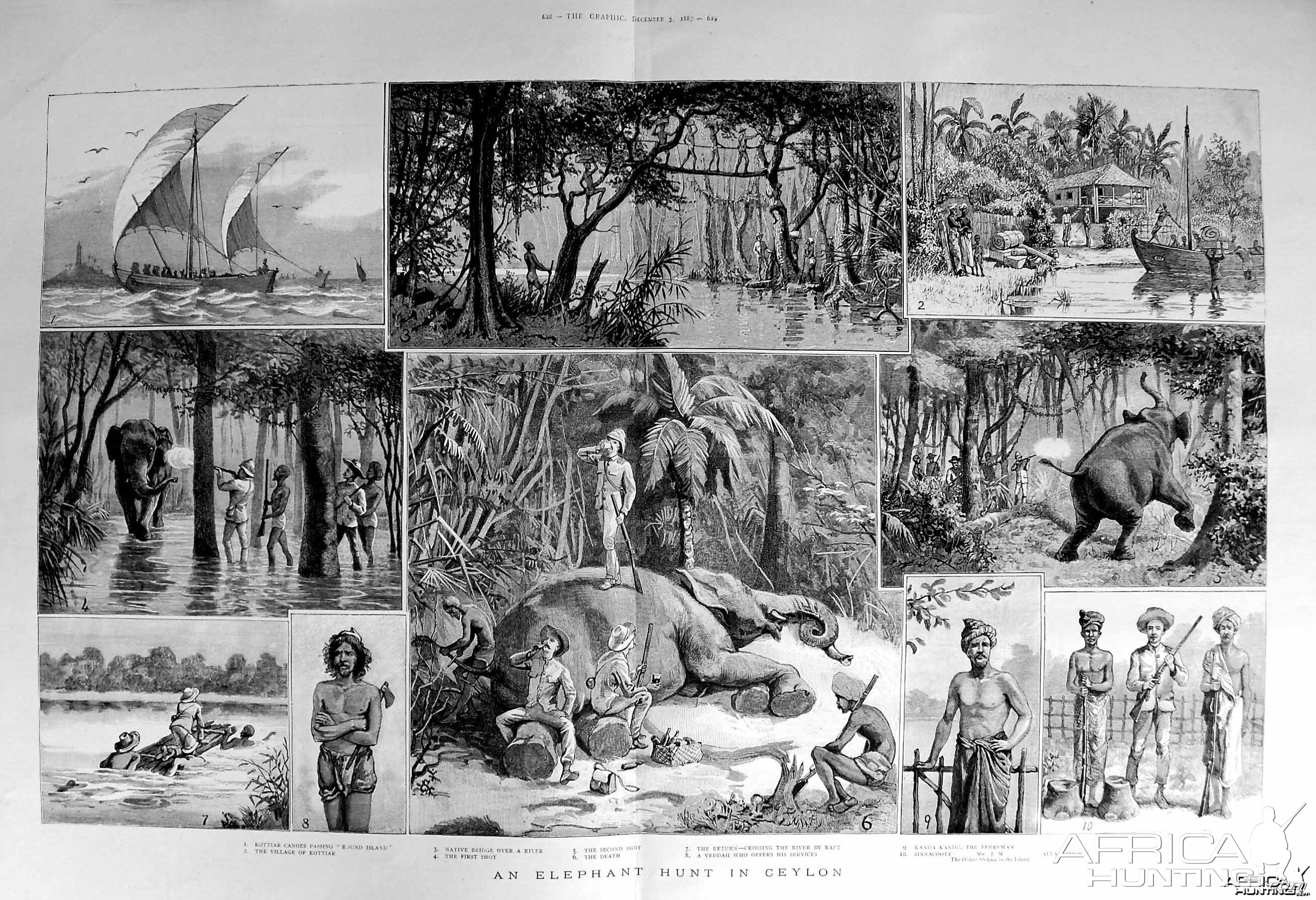 An Elephant Hunt in the Ceylon