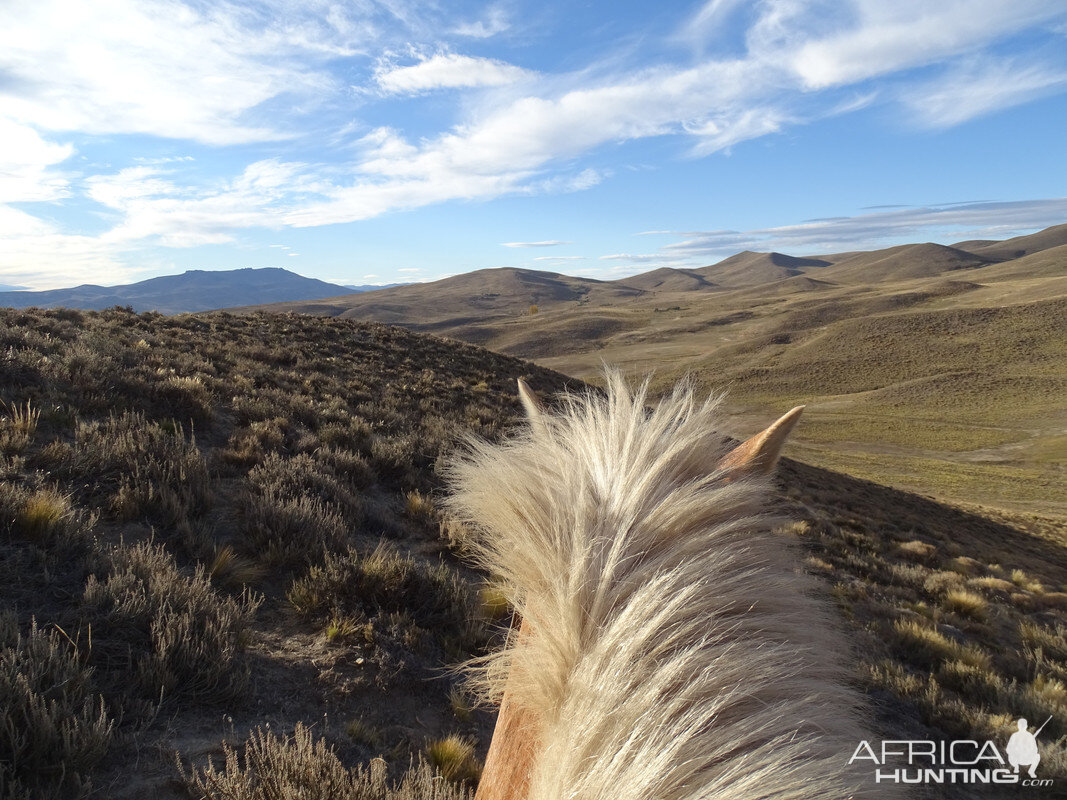 Andes Mountains Nature