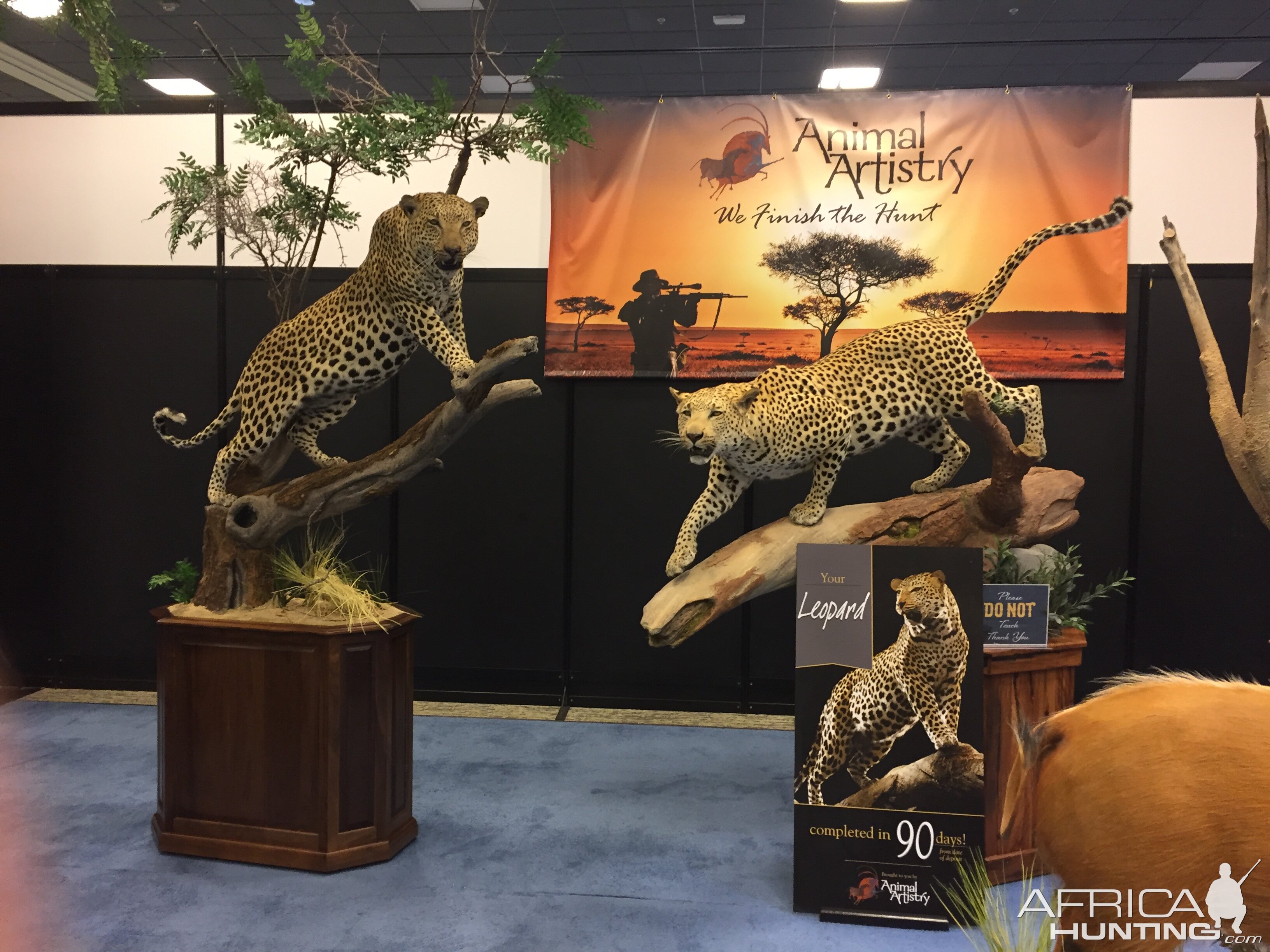 Animal Artistry at Safari Club Convention 2020