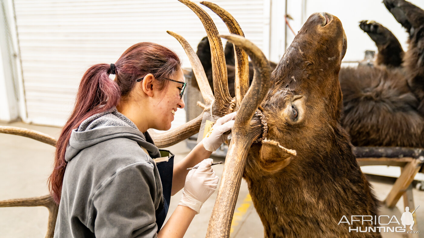 Animal Artistry Finishing Department