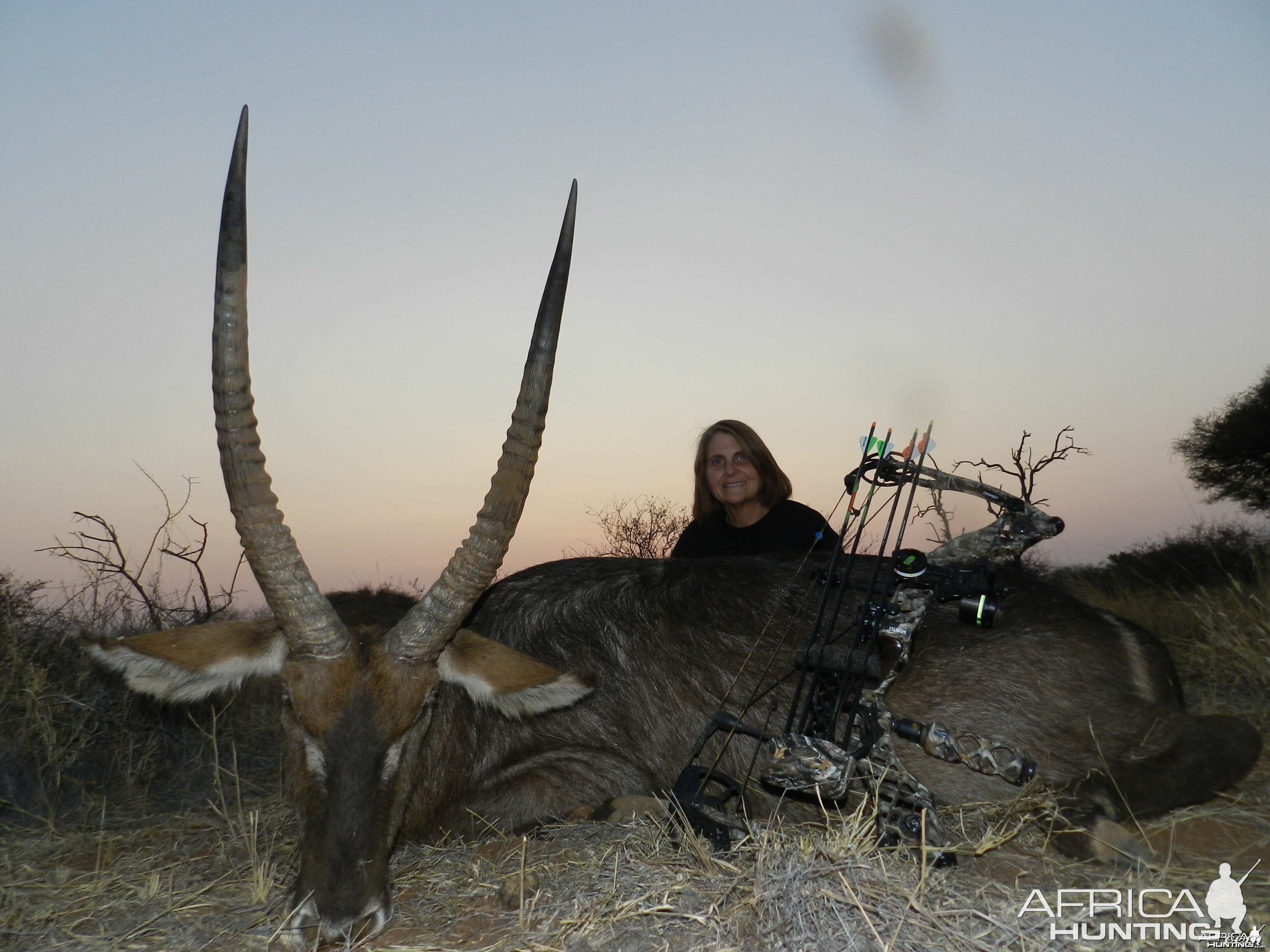 Anita's Waterbok