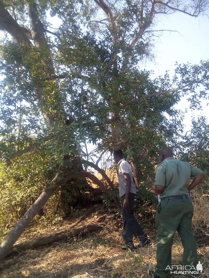 Aniti-poaching Patrol