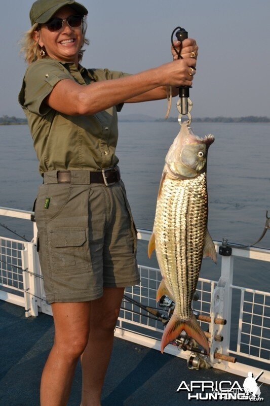 Ann 11 lb Tigerfish