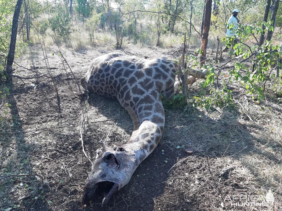 Anti-poaching Patrol