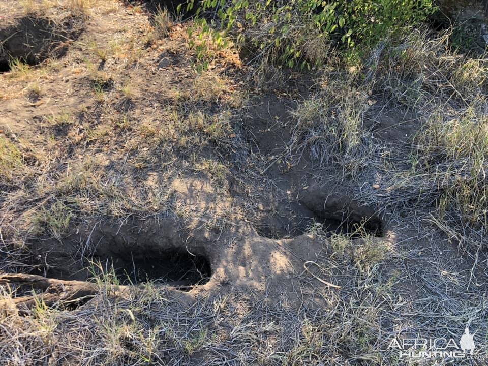 Anti-poaching Patrols Zimbabwe