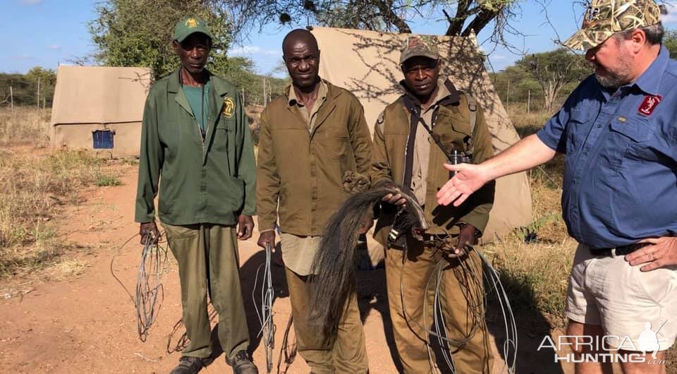 Anti-poaching Patrols