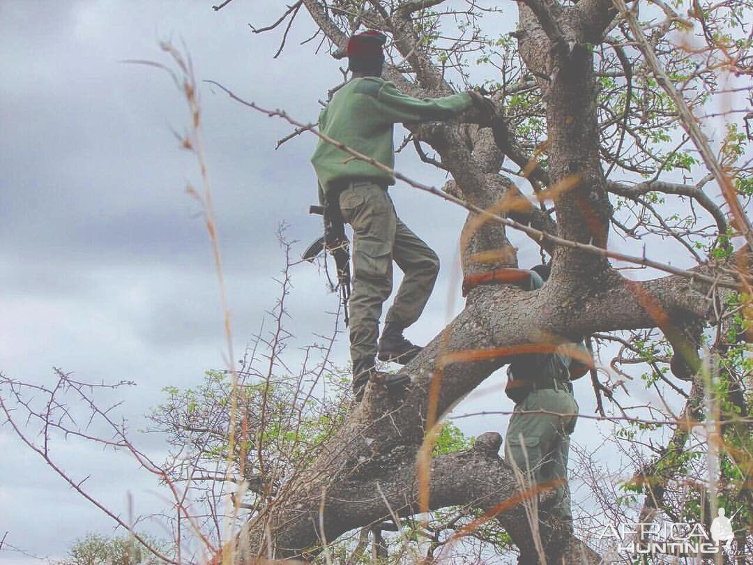 Anti Poaching scouts