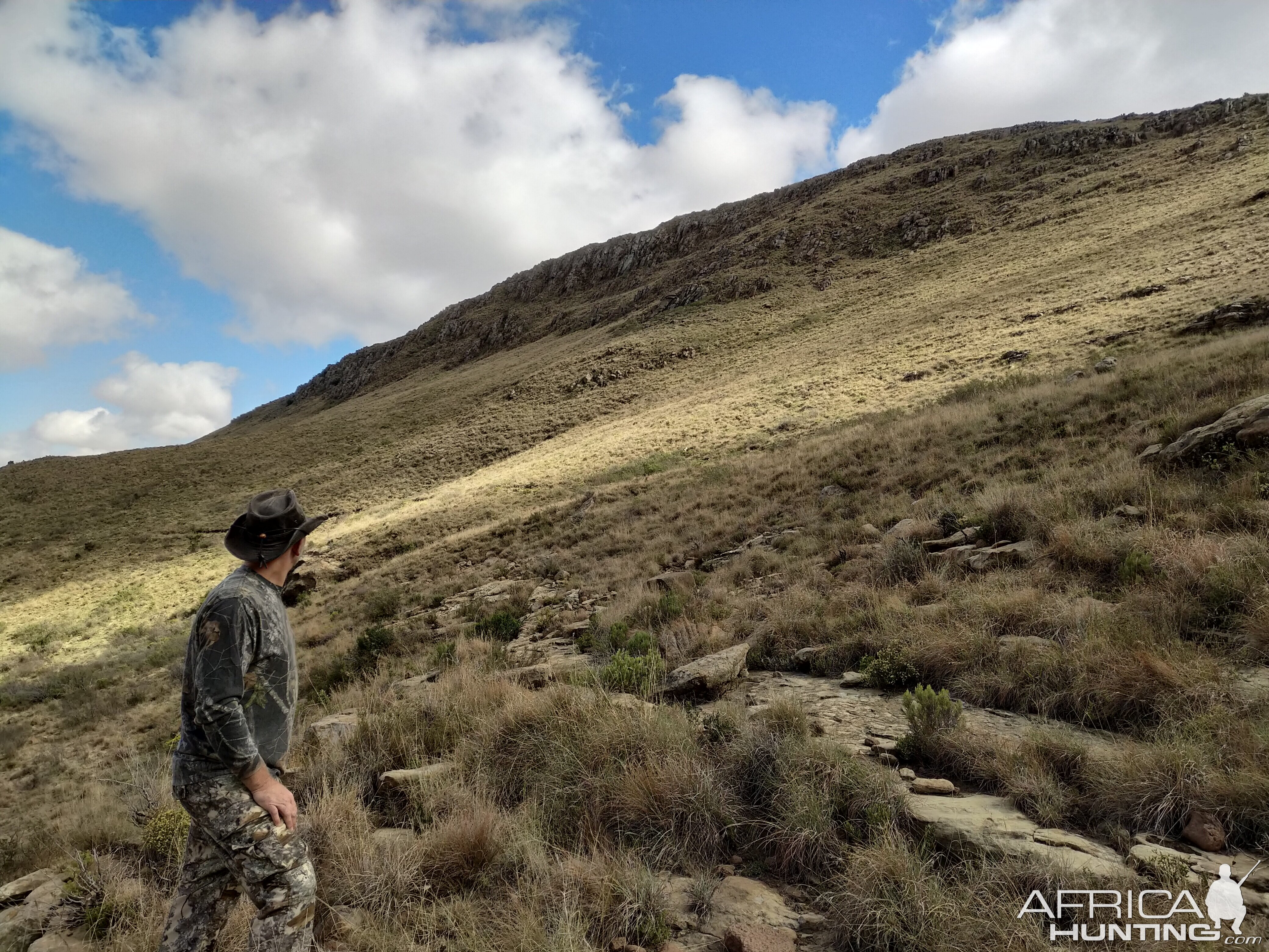 Aoudad Hunt South Africa