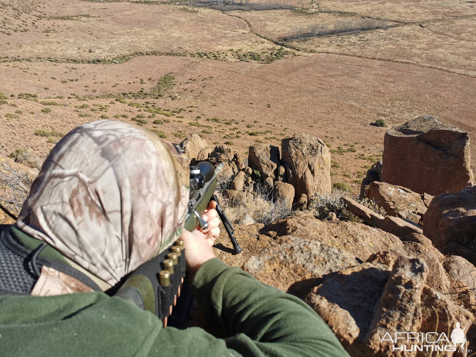 Aoudad Hunt South Africa