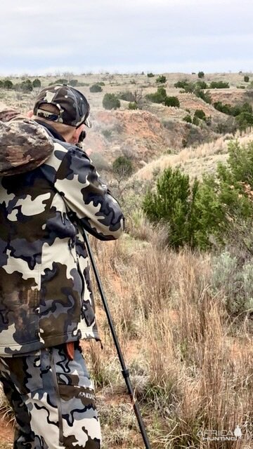 Aoudad Hunt Texas USA