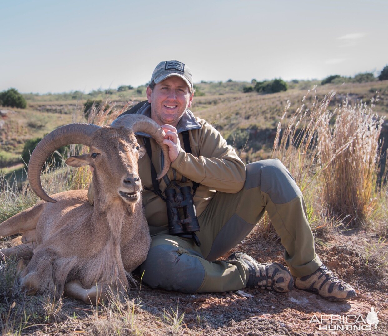 Aoudad Hunt Texas