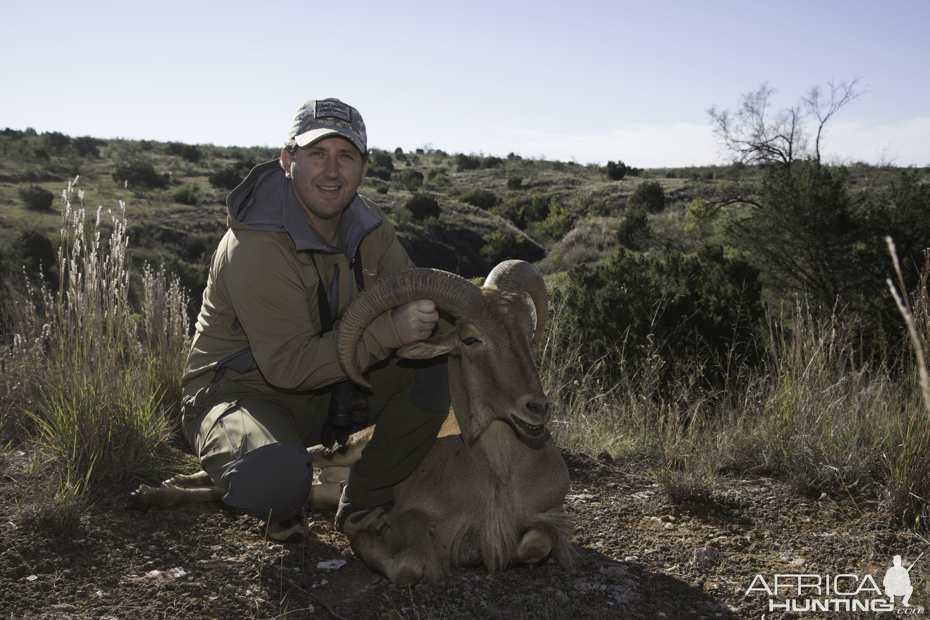 Aoudad Hunt Texas