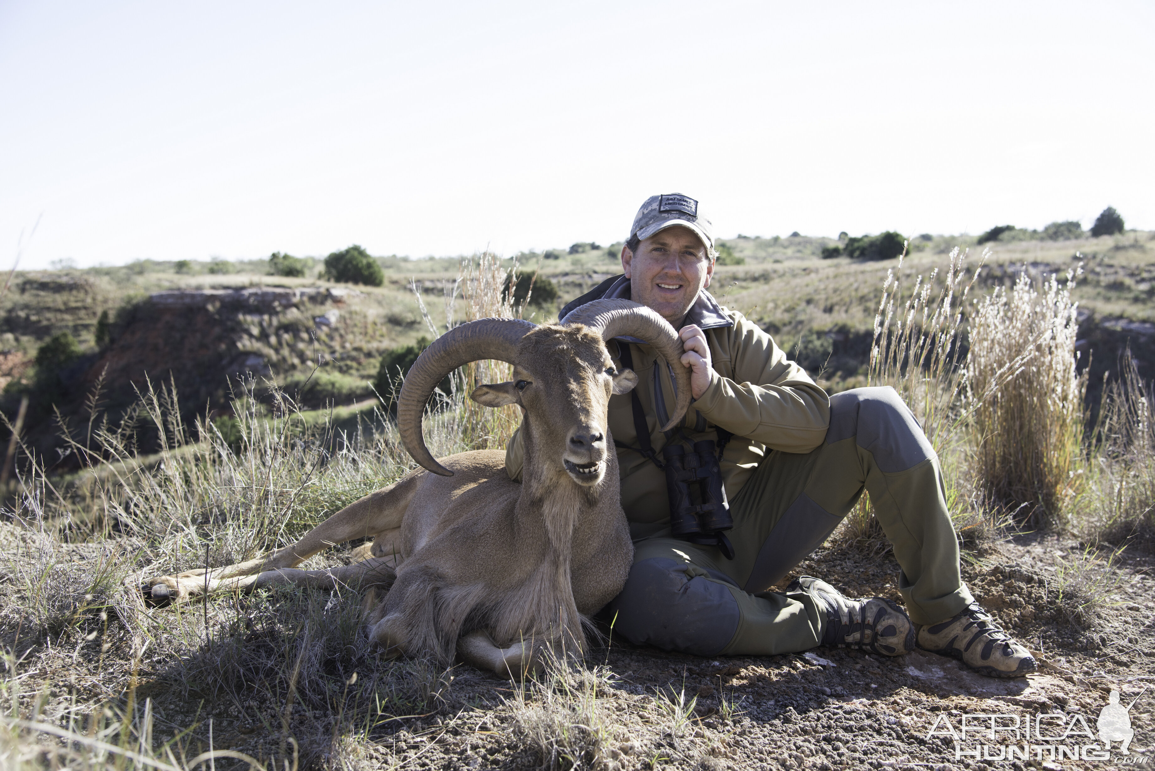 Aoudad Hunt Texas