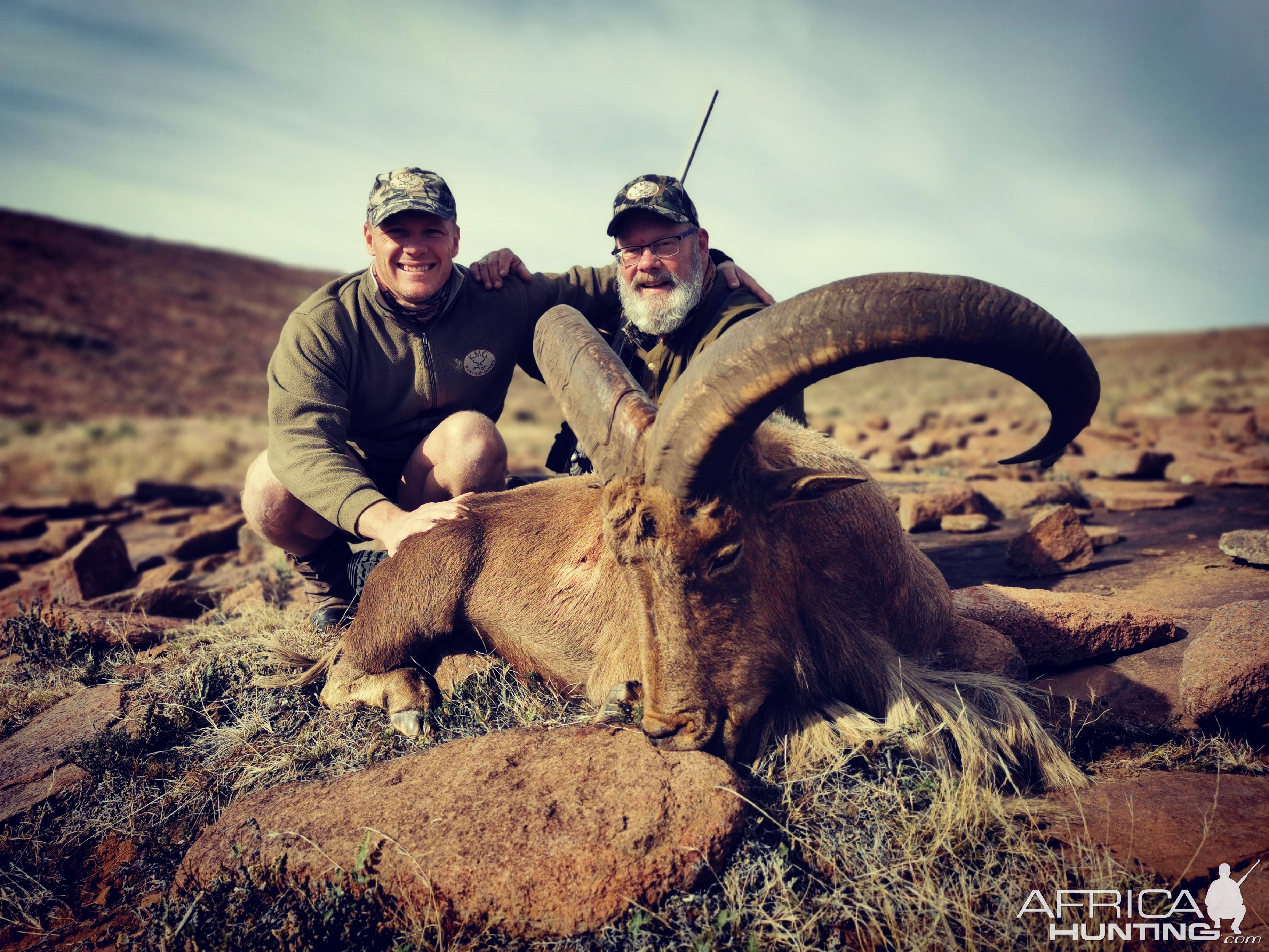 Aoudad Hunting South Africa