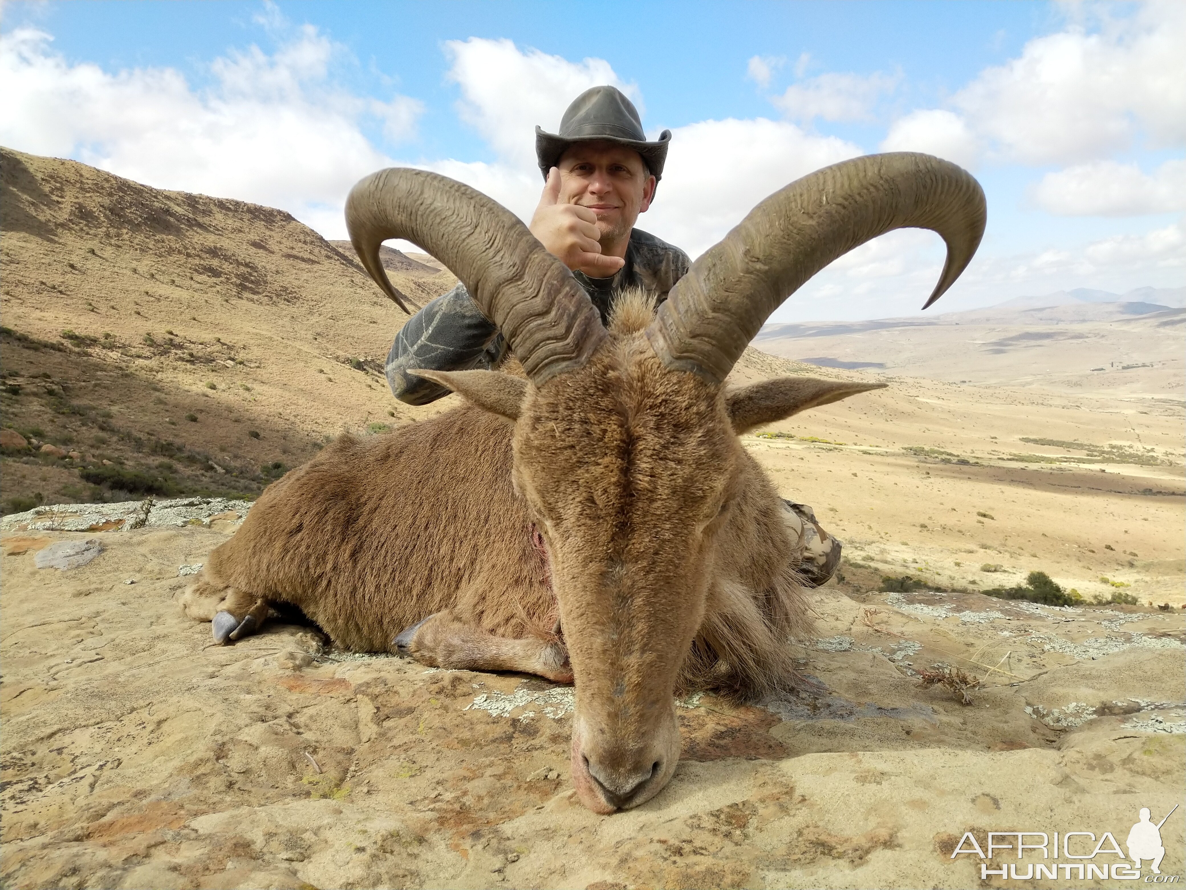 Aoudad Hunting South Africa