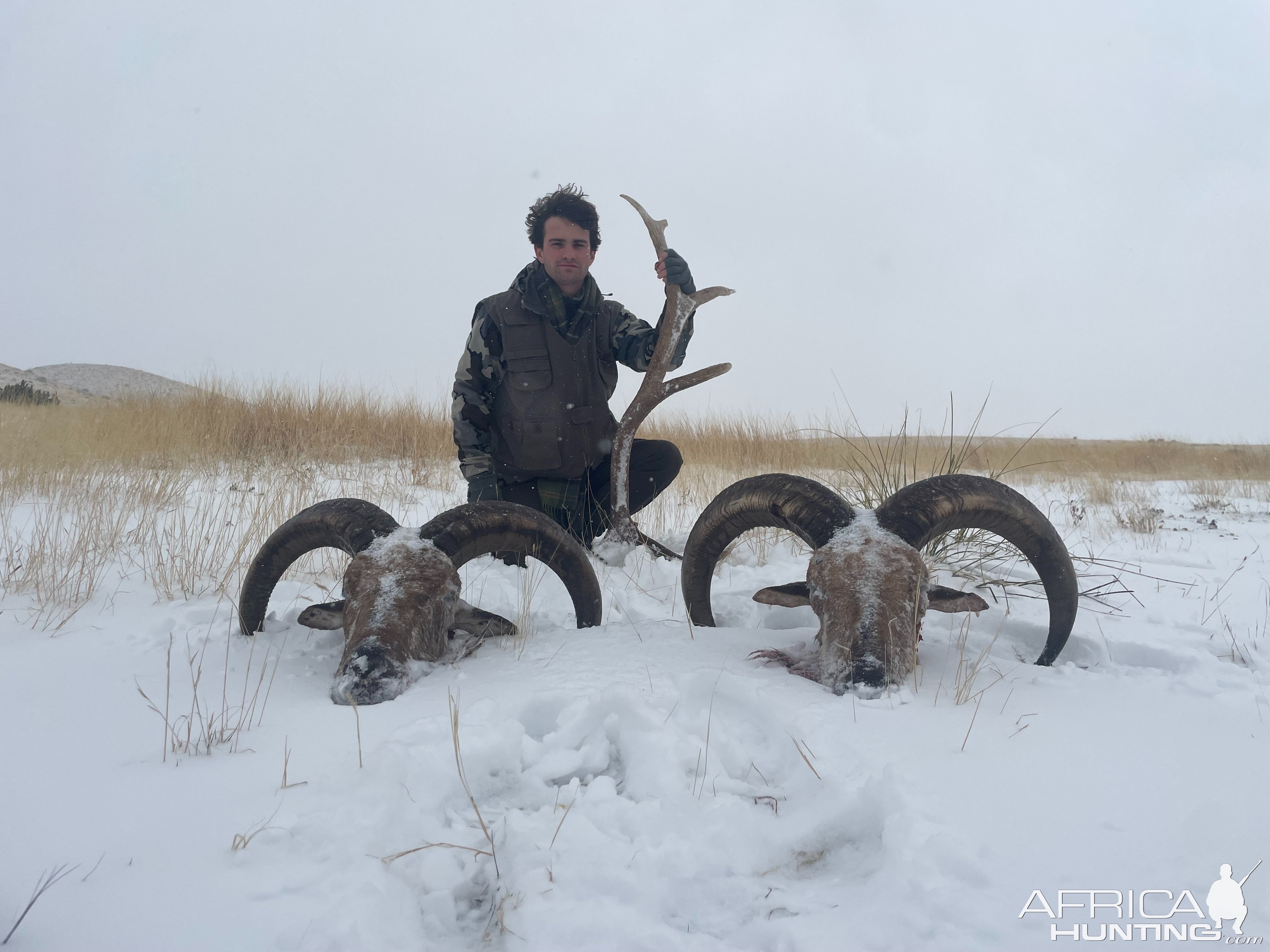 Aoudad Hunting